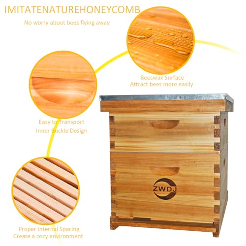8 Frame Bee Hive Complete Beehive Kit Coated with Beeswax Includes Beehive Frames and Waxed Foundations - size: 20 Frames