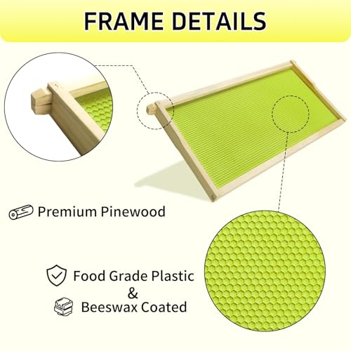 10 Pack Deep Frames for Bee Hives Unassembled Deep Wood Bee Frames with Food Grade Beeswax Coated Foundations Sheets Kit for Beehives, 9-1/8-inch, Green