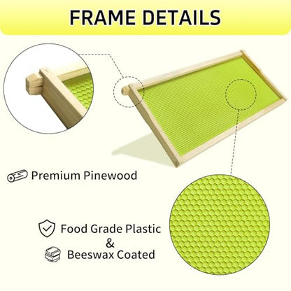 10 Pack Deep Frames for Bee Hives Unassembled Deep Wood Bee Frames with Food Grade Beeswax Coated Foundations Sheets Kit for Beehives, 9-1/8-inch, Green