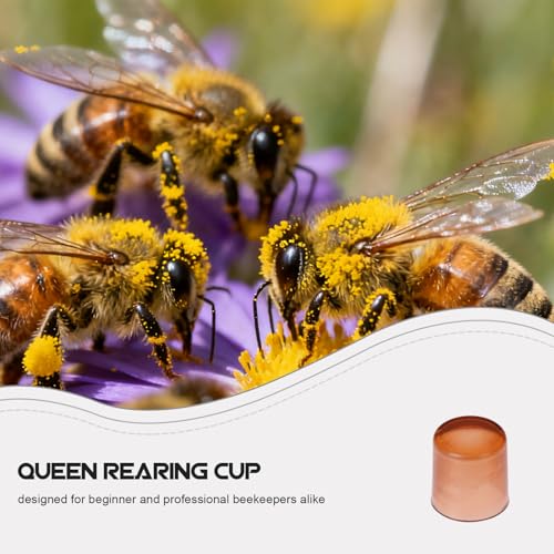 GALPADA 2000pcs Queen Rearing Cups and Mini Hive Plastic Incubator Set for Beekeeping Cell Cultivation with Bee Queen Grafting Tools, 0.4 Inch Breeding Kit for Apiary Management