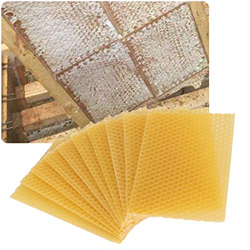 10Pcs Natural Beeswax Sheets Beeswax Honeycomb Sheets Wax Foundation Bee Hives Kit Beeswax Sheets for Candles Making Furniture Floor Polishing