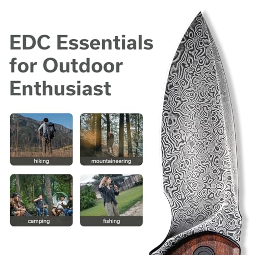 CIVIVI Folding Pocket Knife for EDC, Small Mini Praxis Knife for Men Women, 2.98" Damascus Blade Guibourtia Wood Handle, Sharp Camping Hiking Knives C18026C-DS1 - color: Brown