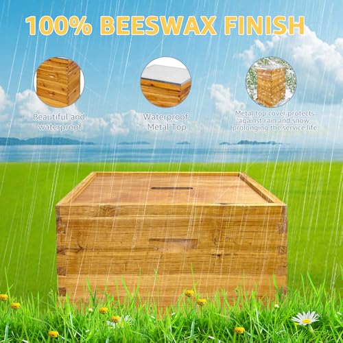5-Layer Langstroth Bee Hive Kit, 100% Beeswax Coated Wood Beehive Includes 2 Deep Breeding Boxes and 3 Medium Super Boxes, 10-Frame Standard Bee House with Metal Top Cover, No Frames - size: 5 layer