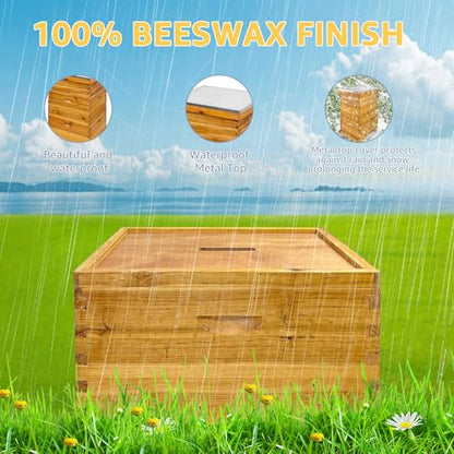 5-Layer Langstroth Bee Hive Kit, 100% Beeswax Coated Wood Beehive Includes 2 Deep Breeding Boxes and 3 Medium Super Boxes, 10-Frame Standard Bee House with Metal Top Cover, No Frames - size: 5 layer