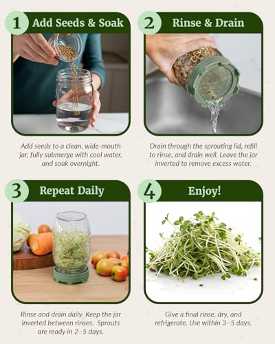Elementi Sprouts Growing Kit for Wide Mouth Mason Jars, Set of 2 Sprouting Lids for Organic Alfalfa & Mung Bean Sprouts Grow Kit, 316 Stainless Steel Mesh Screen Strainer Lid (Sage Green) - color: Sage Green & Mint
