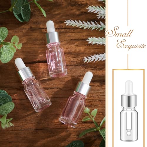 Didaey 100 Pcs 1/2/3/5/10/15 ml Mini Glass Oil Dropper Bottle Bulk, Clear Essential Small Empty Bottles Sample Containers Perfume Liquid Vials with Cap for Traveling (10 ml,Classic Silver) - color: Classic Silver, size: 10 ml