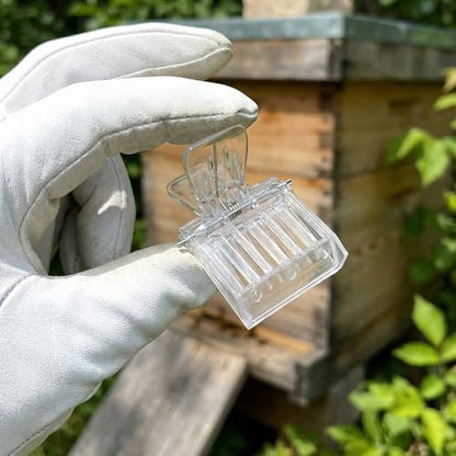 NIIIYTYB Bee Clip 2 Pcs Plastic Bee Queen Clips Transparent Plastic Cage Clips Bee Catchers Trap Box Essential Beekeepers Mark Tool for Rearing Safely Capture Store and Marking Queen Cage