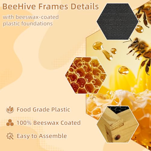 10-Frame Langstroth Deep Brood Bee Hive Box, Dipped in Beeswax, Includes Wooden Frames & Waxed Foundations, Unassembled for Beginner Beekeepers - style: Deep Box