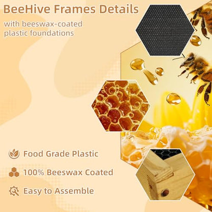 10-Frame Langstroth Deep Brood Bee Hive Box, Dipped in Beeswax, Includes Wooden Frames & Waxed Foundations, Unassembled for Beginner Beekeepers - style: Deep Box