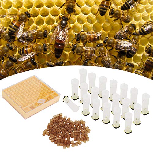 Plastic Queen Bee Rearing Box, Lightweight Portable Bee Grafting Kit Breeding Cell Cup Kit for Beekeeping Equipments Supplies