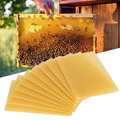 GBSCLOVER 10Pcs Beeswax Sheets, Beeswax Cndle Sheets, Wax Bee Foundation Sheet for Lure Bees, Crafts, Candle Making, Furniture Polish, 5.1x3.5in