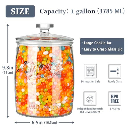 Folinstall 1 Gallon Glass Cookie Jar, Large Glass Jar with Airtight lid, Glass Food Storage Container for Cookies, Candy, Flour, Dog Treats, Coffee, Laundry Room Storage & Pantry - size: 1 Gallon/1 Pack