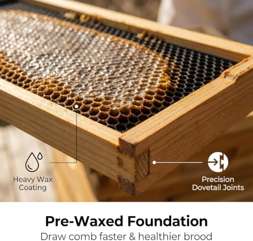 10-Frame Langstroth Bee Hive, 2 Deep Beehives Box & 1 Medium Box, Beeswax Coated Include Beehive Frames and Waxed Foundation Sheets for Beekeeper