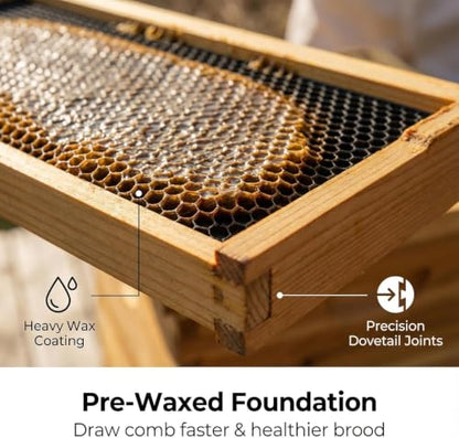 10-Frame Langstroth Bee Hive, 2 Deep Beehives Box & 1 Medium Box, Beeswax Coated Include Beehive Frames and Waxed Foundation Sheets for Beekeeper
