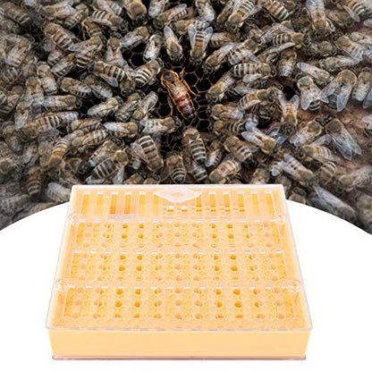 Beekeeping Queen Bee Rearing Grafting Kit, Plastic Bee Cell Cups Kit, Queen Rearing System Cultivating Box, Queen Cage Beekeeping Tools Equipment
