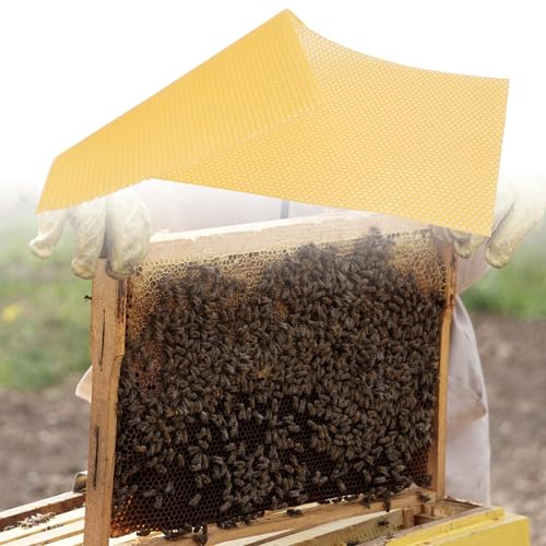 Veemoon 30pcs Beeswax Beehive Foundation Sheets Honeycomb Base for Beekeeping Supplies 41.5×19.5cm Natural Bee Comb Frames for Honey Hive Equipment