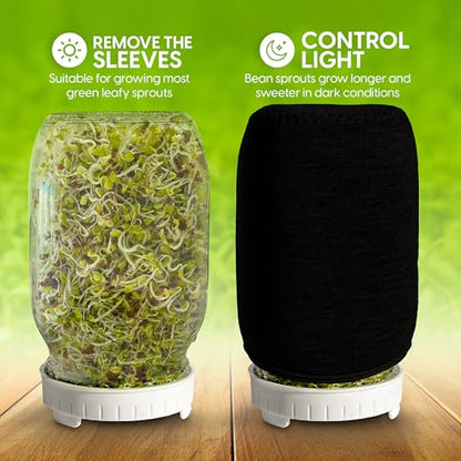 Broccoli Sprouting Kit & Green Onion Regrower with USA Organic Broccoli & Alfalfa Seeds – 2 Wide-Mouth Mason Jars, Sprout Lids, Stainless Stand, Drain Tray & Blackout Sleeves (Sprout Jar + Seeds) - color: Sprout Jar + Seeds