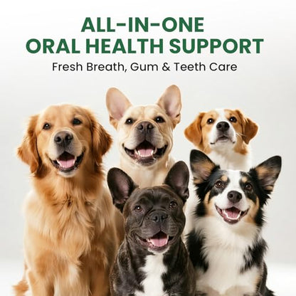 Dog & Cat Dental Powder: Ultimate Breath Freshener & Oral Care - Eliminates Bad Breath, Controls Plaque & Tartar - Enzyme & Probiotic Food Topper - Green Tea Flavor 5.64oz