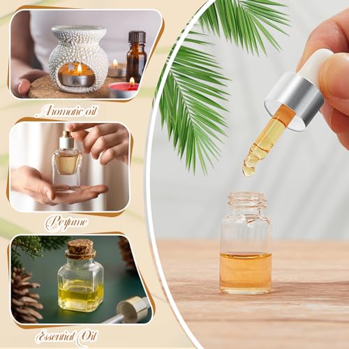 Didaey 200 Pcs 1/2/3/5/10/15 ml Mini Glass Oil Dropper Bottle Bulk, Clear Essential Small Empty Bottles Sample Containers Perfume Liquid Vials with Cap for Traveling (3 ml,Classic Silver) - color: Classic Silver, size: 3 ml