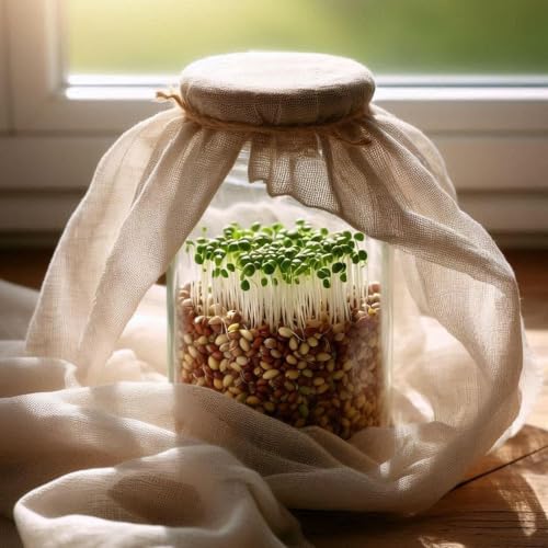 Cheesecloth, 6 Pack Reusable Unbleached Cotton, 20x20 Inch, Fine Mesh for Straining, Cheese and Paneer Making