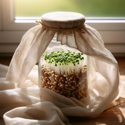 Cheesecloth, 6 Pack Reusable Unbleached Cotton, 20x20 Inch, Fine Mesh for Straining, Cheese and Paneer Making