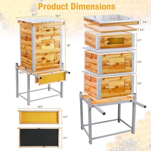 Bee Hive Boxes Starter Kit,3 Layer Metal Frame Bee House with 10 Medium and 20 Deep Frames & Foundations,Langstroth Honey Bee Hive with Metal Stand