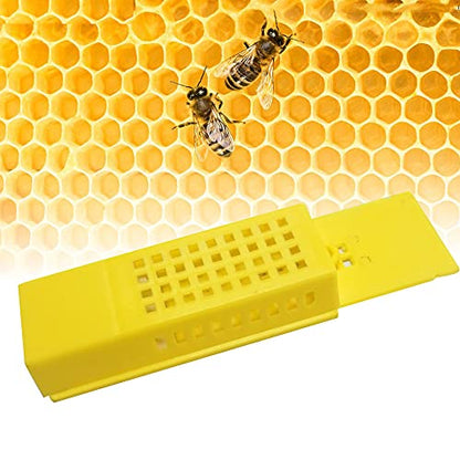 Plastic Queen Bee Cages 12PCS Transporting Catcher Beekeeping Supplies Rearing Cup Kit Transporting Catcher Insectary Box Beekeeper Equipment Tool