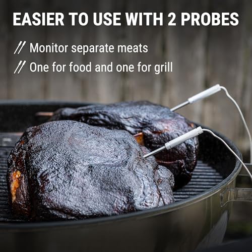 TempPro Wireless Meat Thermometer Digital for Grilling and Smoking, 2 Probes Bluetooth Meat Thermometer for Cooking, Rechargeable Smoker Accessories for BBQ Oven (Previously ThermoPro) - style: 2 Probes