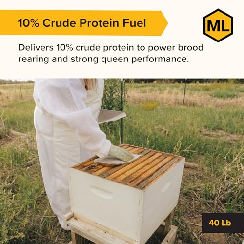 Mann Lake Bee-Pro Patties, High Protein Honey Bee Nutrition with Pro Health Digestive Aide, Spring & Fall Brood Builder for Increased Colony Survival & Stronger Spring Population, Made in USA, 40 Lbs - size: 40 Pound (Pack of 1), style: Bee-Pro