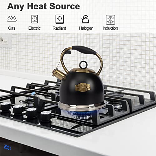Tea Kettle -3.0 Quart Tea Kettles Stovetop Whistling Teapot Stainless Steel Tea Pots for Stove Top Whistle Tea Pot - color: Black