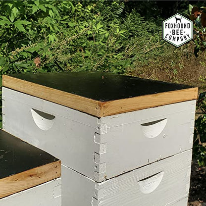 Foxhound Bee Co Universal Solar Fume Board: A Beekeepers Practical Solution for 8-Frame and 10-Frame Honey Harvesting