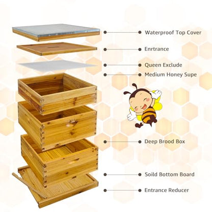 Beeswax Coated Bee Hive Starter Kit - 3 Layer Langstroth Beehive with 2 Deep & 1 Medium Super Boxes - Premium Wood Honey Bee House, Metal Top Cover & Queen Excluder (No Frames)