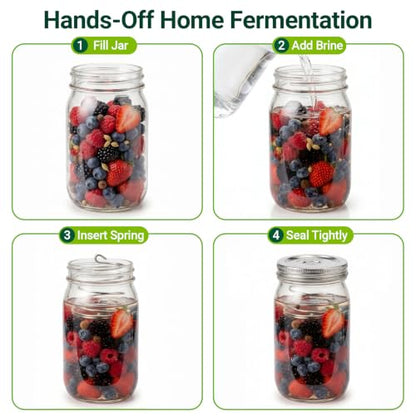 Fermentation Kit to Make Perfect Pickles, Sauerkraut, Kimchi & Probiotic-Rich Vegetables, Easy Pickling Kit for Wide Mouth Mason Jars with Venting Lids & Fermenting Springs