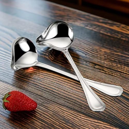 2 PCS Gravy Ladle Professional Soup Ladle Ladle Spoon Soup Spoon Long Handled Stainless Steel Sauce Soup Spoon with Pour Spout for Kitchen Tool,Soup Sauces, Gravies(8.07inch,Silver)