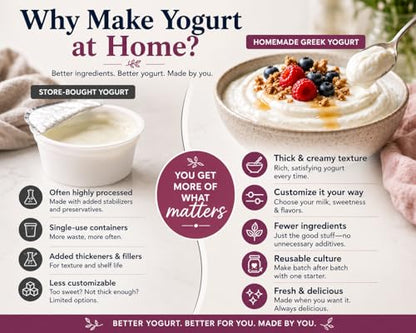 Cultures for Health Greek Yogurt Starter Culture | 2 Packets Dehydrated Heirloom Style DIY Probiotic Yogurt | Delicious for Smoothies, Granola and Berries, Tzatziki, Soup, & Other Healthy Snacks