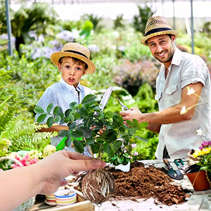 Tree Root Growing Box, Reusable Transparent Plants Asexual Reproduction Grafting Ball, High Pressure Air Layering Pods Propagation Kit (10pcs Meidum) - color: Black-m-10pack