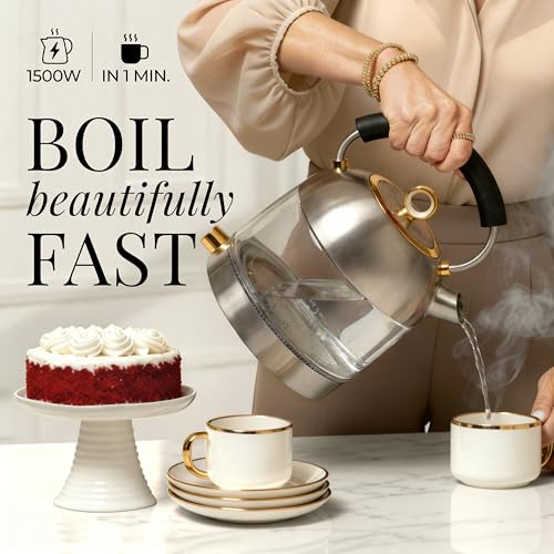 Stainless Steel Electric Kettle with Temperature Control - BPA and Plastic Free Electric Kettle with Keep Warm Function, Borosilicate Glass - Fast 1500W Hot Water Boiler, Auto Shut-Off - color: Stainless Steel