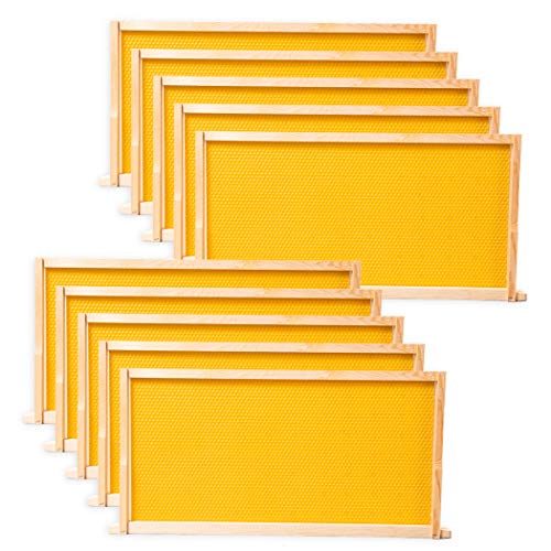 BeeCastle 10 Pack Beehive Frames and Wax Foundations for Deep Brood Bee Hives with Honeycombs Wooden Bee Hive Frames and Beeswax Coated Foundations, 9-1/8-Inch (Yellow) - size: 10-Pack