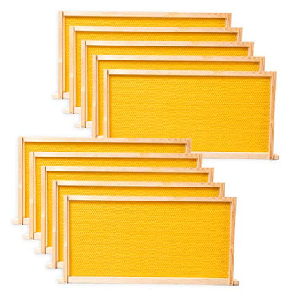 BeeCastle 10 Pack Beehive Frames and Wax Foundations for Deep Brood Bee Hives with Honeycombs Wooden Bee Hive Frames and Beeswax Coated Foundations, 9-1/8-Inch (Yellow) - size: 10-Pack
