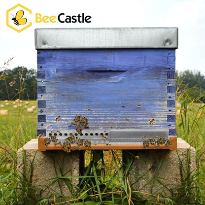 BeeCastle 4PCS Beehive Entrance Reducer and Mouse Guard,Beehive Sliding Mouse Guards for 8 or 10 Frame Bee Hive,No-Rust Stainless Steel Beekeeping Suppiles