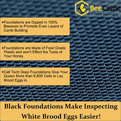 BeeCastle 8 Frame Langstroth Bee Hive Coated with Beeswax Includes Beehive Frames and Waxed Foundations (2 Deep Boxes & 1 Medium Box)