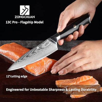 Utility Knife,5.5inch Damascus knife,67-Layer High Carbon Stainless Steel Kitchen Knife,Professiona Sharp Cutting Knives with Black Ergonomic G10 Handle,Gift Box for Home and Kitchen Birthday Gift - style: 13C pro Utility Knife(Black)