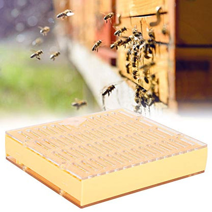 Queen Bee Incubator, Plastic Bee Grafting Less Larva Moving Breeding Box, Beekeeper Tool for Raising Queen Cells with Cups