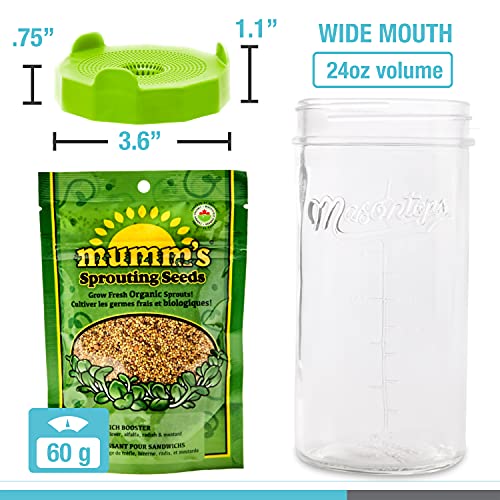 Masontops Mason Jar Bean Sprouting Jar Starter Set - Easy DIY Bean Sprout Kit with Organic Seeds, Sprouting Lids, Complete Bean Sprouts Grow Kit - size: Single Jar Kit (1 Jar, 1 Screen, 1 Seed Mix)