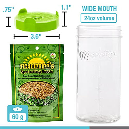 Masontops Mason Jar Bean Sprouting Jar Starter Set - Easy DIY Bean Sprout Kit with Organic Seeds, Sprouting Lids, Complete Bean Sprouts Grow Kit - size: Single Jar Kit (1 Jar, 1 Screen, 1 Seed Mix)