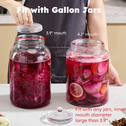 Jillmo Fermentation Weight for Gallon Jars, 3.7inch Large and Heavy Gallon Jar Glass Fermenting Weights for Making Sauerkraut, Kimchi, Carrots, Pack of 2 - size: Hammered - 2 Pack