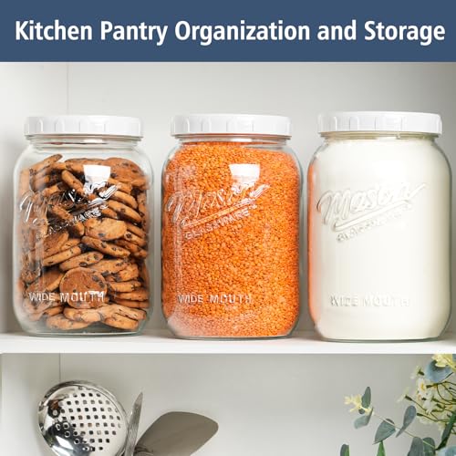 Folinstall 1 Gallon Glass Jar with Lid, Wide Mouth Mason Jars, Large Glass Flour Storage Containers with Airtight Lids, Candy Jar Safe for Cookie, Kombucha, Pickle, Sugar