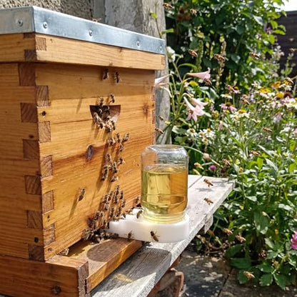 AukBeeFun 6 Pack Bee Feeders for Hives,Leak-Proof Mason Jar Sugar Bee Hive Feeder for Professional or Beginner Beekeepers