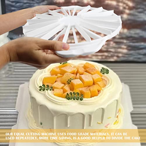 Cake Portion Cutter, Cake Divider Cheesecake Slicer for Even Slices Double-Sided 14 or 16 Slices, White