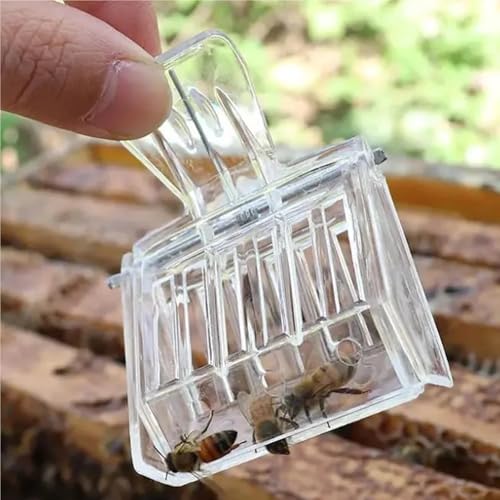 30PCS Durable Plastic Clear Beekeeping Clip Queen Bee Cage No-Hurt Beekeeper Equip Insect Catcher Garden Tool Beehive Room